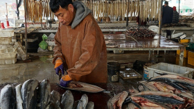 Китай отказался от импорта рыбы в РФ в надежде получить квоты на вылов